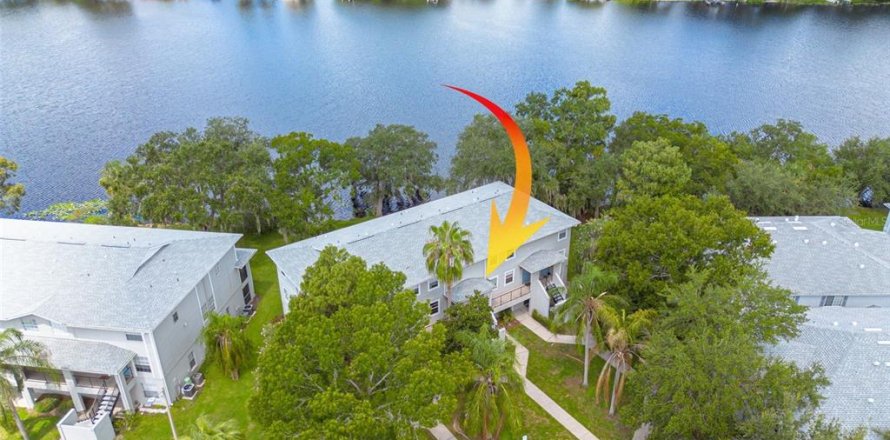 Condo in Tampa, Florida, 1 bedroom № 1866143