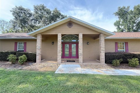 Villa ou maison à Ocala, Floride 3 chambres, 201.51 m2 № 2310159