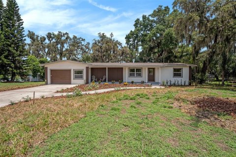 Villa ou maison à vendre à Dover, Floride: 4 chambres, 186.73 m2 № 1770182 - photo 2