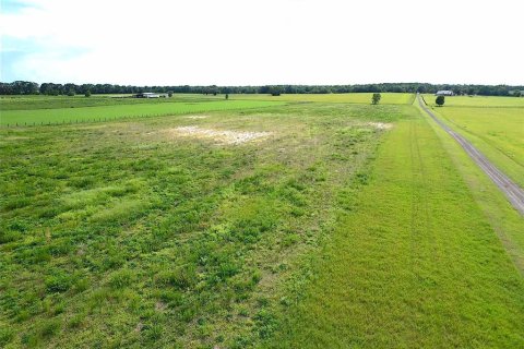 Terrain à vendre à Dunnellon, Floride № 2228406 - photo 4