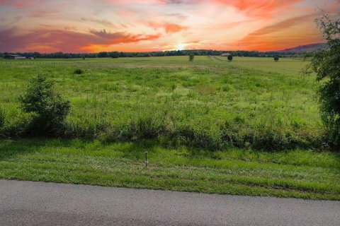 Terreno en Dunnellon, Florida № 2228406