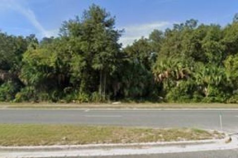 Land in Chiefland, Florida № 1555147 - photo 1
