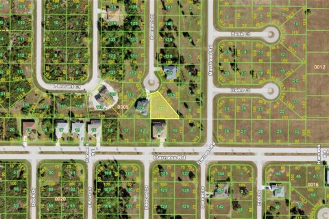 Land in Placida, Florida № 2379484 - photo 3