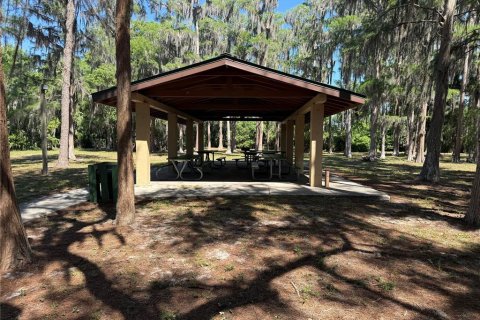 Land in New Port Richey, Florida № 2211631 - photo 8