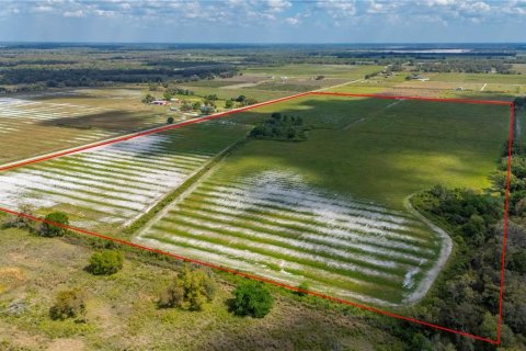 Land in Arcadia, Florida № 1755515 - photo 4