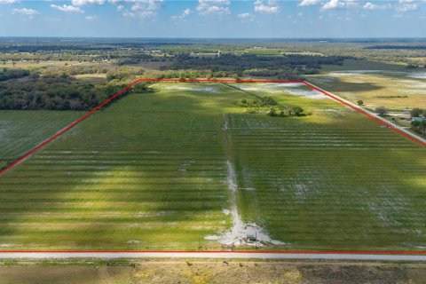 Land in Arcadia, Florida № 1755515 - photo 2