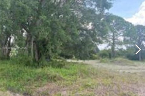 Terreno en venta en Clewiston, Florida № 976471 - foto 1