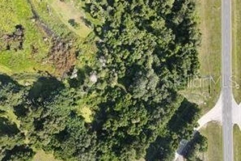 Land in DeLand, Florida № 1105892 - photo 1
