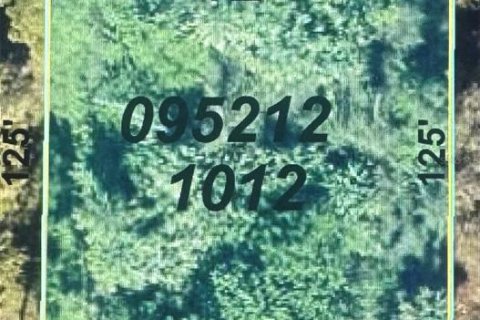 Land in North Port, Florida № 2162239 - photo 2