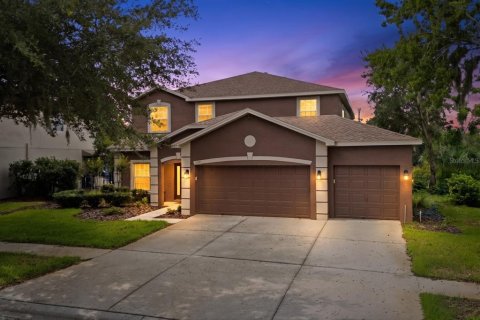 House in Fish Hawk, Florida 5 bedrooms, 302.49 sq.m. № 2196479