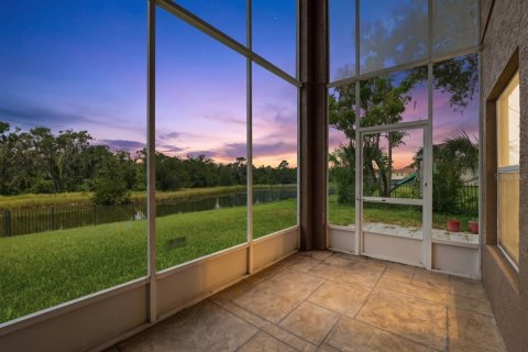 House in Fish Hawk, Florida 5 bedrooms, 302.49 sq.m. № 2196479 - photo 4