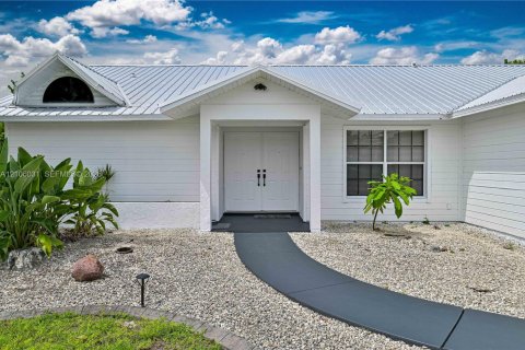 Villa ou maison à vendre à Cape Coral, Floride: 3 chambres № 2414309 - photo 12