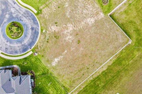Terreno en venta en Lake Alfred, Florida № 1869660 - foto 6