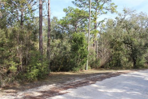 Land in Dade City, Florida № 2232493