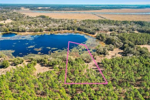Land in Weirsdale, Florida № 1540392 - photo 1