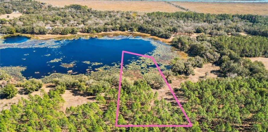 Land in Weirsdale, Florida № 1540392