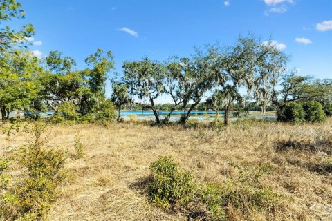 Land in Weirsdale, Florida № 1540392 - photo 3