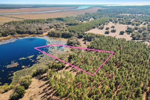 Land in Weirsdale, Florida № 1540392 - photo 2