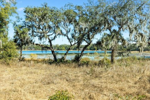 Land in Weirsdale, Florida № 1540392 - photo 6