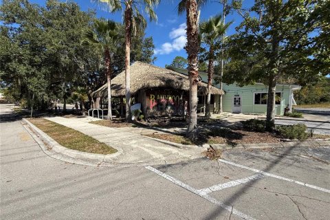 Immobilier commercial à louer à Gainesville, Floride: 673.54 m2 № 2143099 - photo 5