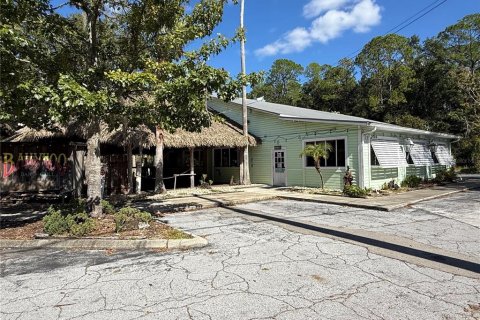 Immobilier commercial à louer à Gainesville, Floride: 673.54 m2 № 2143099 - photo 4