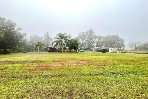 House in Dover, Florida 4 bedrooms, 268.49 sq.m. № 1784657 - photo 22