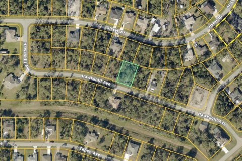 Land in North Port, Florida № 2166783 - photo 3