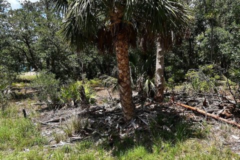 Land in North Port, Florida № 2166783