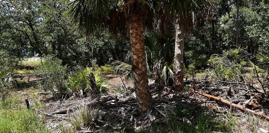 Land in North Port, Florida № 2166783