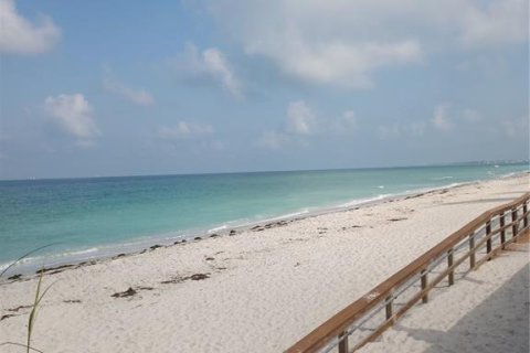Land in Placida, Florida № 2385952 - photo 3
