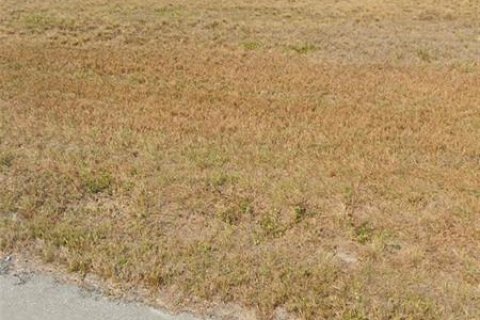 Land in Placida, Florida № 2385952 - photo 5