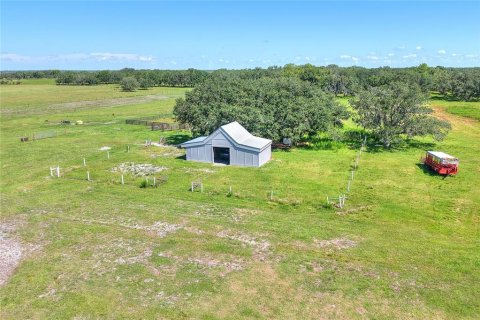 Land in Arcadia, Florida № 1906813 - photo 17
