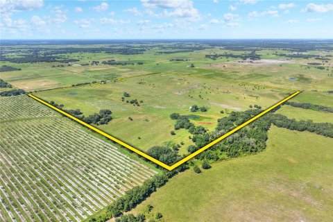 Land in Arcadia, Florida № 1906813 - photo 2