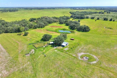 Land in Arcadia, Florida № 1906813 - photo 20