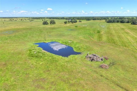 Land in Arcadia, Florida № 1906813 - photo 26