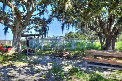 Land in Arcadia, Florida № 1906813 - photo 15