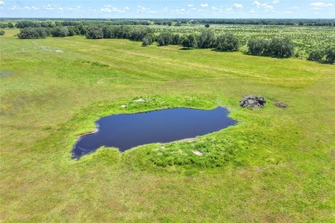 Land in Arcadia, Florida № 1906813 - photo 25
