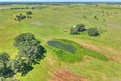 Land in Arcadia, Florida № 1906813 - photo 23
