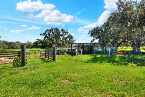Land in Arcadia, Florida № 1906813 - photo 13