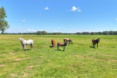 Land in Arcadia, Florida № 1906813 - photo 29