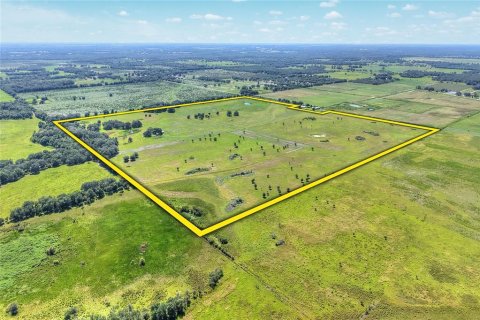 Land in Arcadia, Florida № 1906813 - photo 5