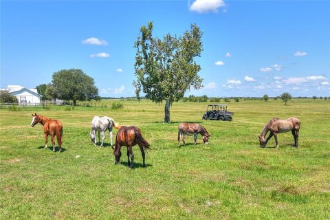 Land in Arcadia, Florida № 1906813 - photo 28