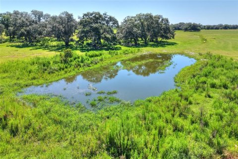 Land in Arcadia, Florida № 1906813 - photo 22