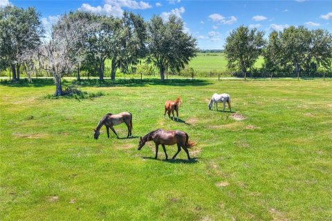 Land in Arcadia, Florida № 1906813 - photo 27