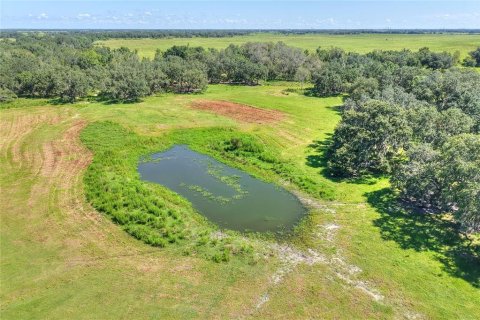 Land in Arcadia, Florida № 1906813 - photo 24
