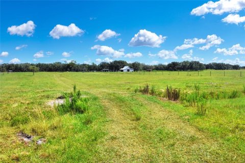 Land in Arcadia, Florida № 1906813 - photo 8