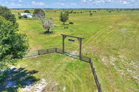 Land in Arcadia, Florida № 1906813 - photo 7