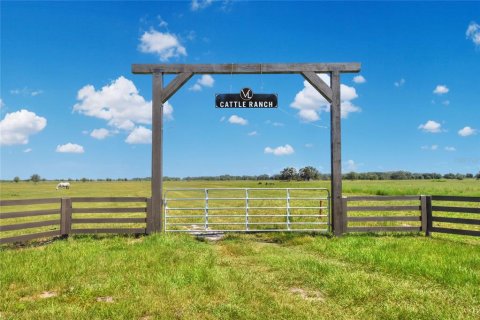 Land in Arcadia, Florida № 1906813 - photo 1