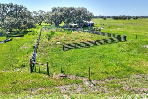 Land in Arcadia, Florida № 1906813 - photo 16