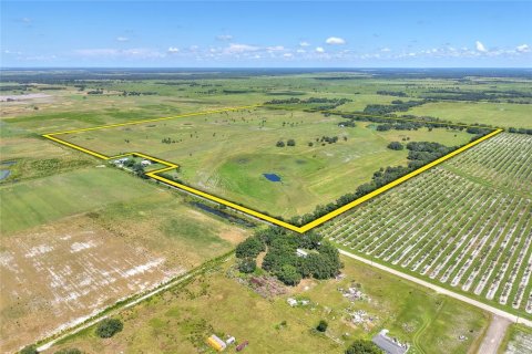 Land in Arcadia, Florida № 1906813 - photo 3